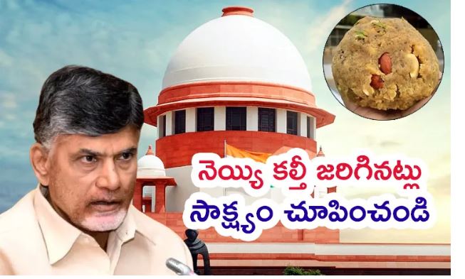 నెయ్యి కల్తీ ప్రచారం: చంద్రబాబుపై సుప్రీం కోర్టు ఆగ్రహం